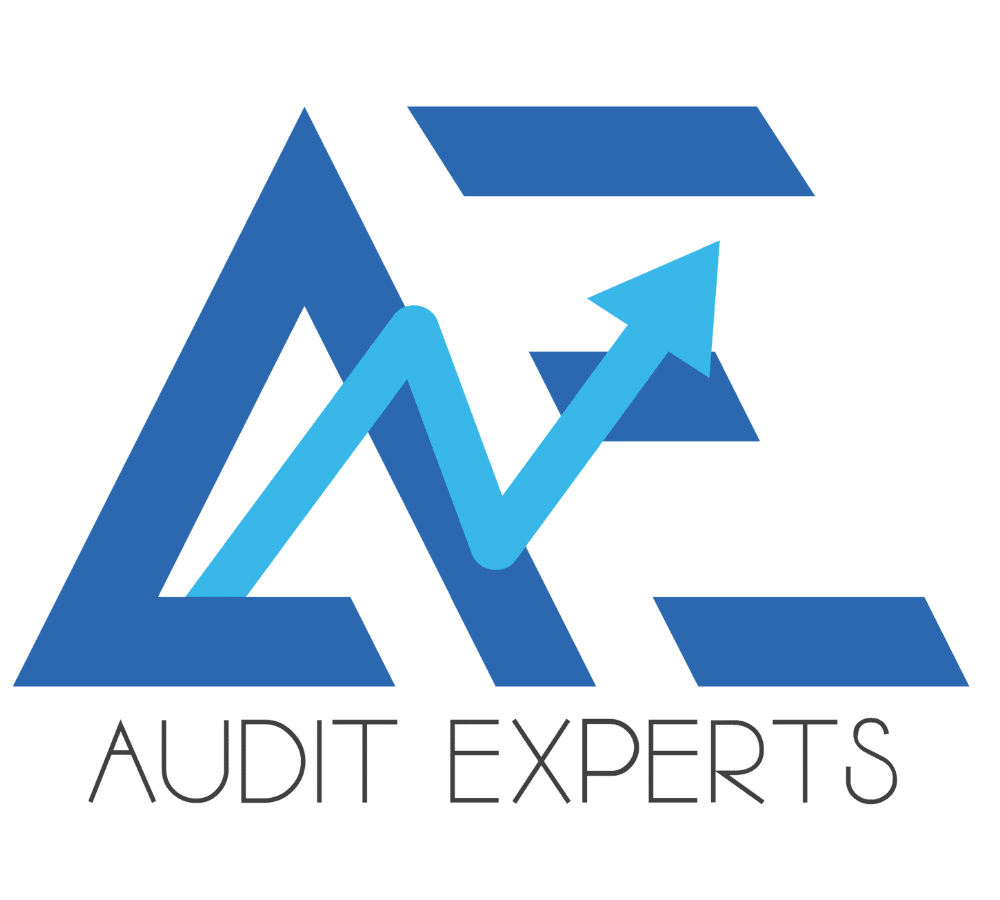audit-experts-logo